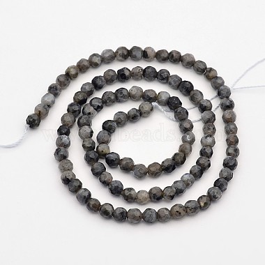 Faceted Round Natural Larvikite Beads Strands(G-E302-083-4mm)-2