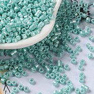 Baking Paint Glass Seed Beads, Cylinder, Medium Aquamarine, 2.5x2mm, Hole: 1.4mm, about 5039pcs/50g(X-SEED-S042-15A-09)