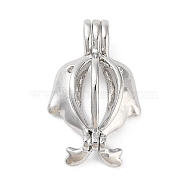 Alloy Bead Cage Pendants, Hollow Cage Charms for Chime Ball Pendant Making, Platinum, Dolphin, 25x16x9mm, Hole: 5x3mm(FIND-M012-01N-P)