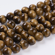Natural Tiger Eye Beads Strands, Round, 12mm, Hole: 1~2mm, about 16pcs/strand, 8 inch(G-C076-12mm-1B)