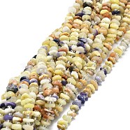 Natural Purple Opal Beads Strands, Chip, 6~8x5~6x2~5mm, Hole: 0.8mm, about 91pcs/strand, 15.35''(39cm)(G-E576-53)