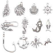 72Pcs 12 Styles Tibetan Style Alloy Charms, Antique Silver, 7~36x10.5~27x1.5~8mm, Hole: 1~5.5mm, 6pcs/style(FIND-SC0007-72)
