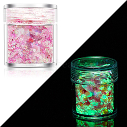 Luminous Nail Art Glitter Powder, Starry Sky Effect, Shiny Nail Decoration, Glow in the Dark, Flamingo, 1~3mm(LUMI-PW0004-034F)
