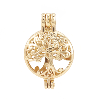 Alloy Locket Pendants, Diffuser Locket, Hollow, Flat Round with Tree, Golden, 30x20x10mm, Hole: 3.5x2.5mm, Inner Measure: 18mm