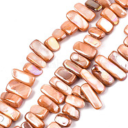 Natural Freshwater Shell Beads Strands, AB Color, Dyed, Nugget Stick, Coral, 8~25x6~10x2~6mm, Hole: 0.5mm, about 46~49pcs/strand, 13.98 inch~14.56 inch(35.5~37cm)(X-SHEL-N026-123D)