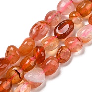 Natural Red Agate Beads Strands, Nuggets, Tumbled Stone, 3~11x4~8x3~6mm, Hole: 0.9mm, about 56pcs/strand, 15.94''~15.75''(40~40.5cm)(G-P497-01A-11)