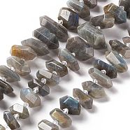 Natural Labradorite Beads Strands, Faceted, Double Terminated Pointed/Bullet, 19~34x9~16x5.5~14.5mm, Hole: 2mm, about 28~29pcs/strand, 15.55~16.34 inch(39.5~41.5cm)(G-F719-23)