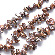 Natural Keshi Pearl Beads Strands, Cultured Freshwater Pearl, Dyed, Nuggets, Sienna, 6~16x5~8x3~7mm, Hole: 0.5mm, about 72~76pcs/strand, 14.96 inch(38cm)(PEAR-S021-165A-01)