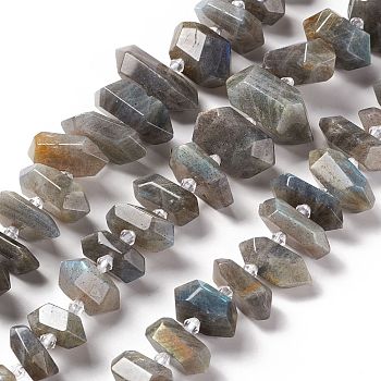 Natural Labradorite Beads Strands, Faceted, Double Terminated Pointed/Bullet, 19~34x9~16x5.5~14.5mm, Hole: 2mm, about 28~29pcs/strand, 15.55~16.34 inch(39.5~41.5cm)