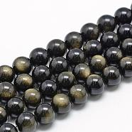 Natural Golden Sheen Obsidian Beads Strands, Grade A, Round, 13~14mm, Hole: 1mm, about 28pcs/strand, 15.7 inch(G-R446-14mm-23)