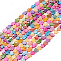 10 Strands Colorful Natural Freshwater Shell Dyed Beads Strands, Leaf & Teardrop & Heart, Mixed Shapes, 10~15x10x2.5~3mm, Hole: 0.8mm, about 26~40pcs/strand, 14.96~15.35''(38~39cm)(SHEL-M018-05)