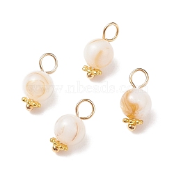 Natural Freshwater Shell Charms, with Golden Tone Alloy & Brass Findings, Round, Old Lace, 12.5x6mm, Hole: 3mm(PALLOY-JF01657)