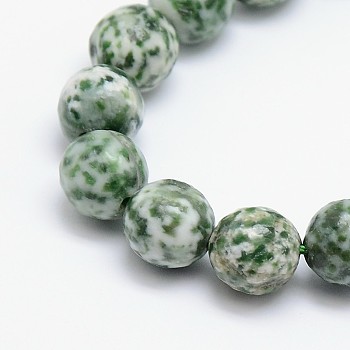 Natural Green Spot Jasper Beads Strands, Round, Faceted, 6mm, Hole: 1mm, about 63pcs/strand, 15.5 inch