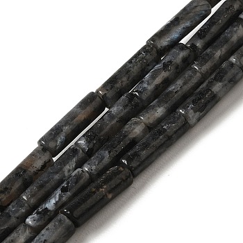 Natural Larvikite Beads Strands, Column, 13.5~14x4~4.5mm, Hole: 1.2mm, about 28pcs/strand, 15.16''(38.5cm)