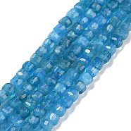 Natural Apatite Beads Strands, Faceted, Cube, 2.5x2.5x2.5mm, Hole: 0.5mm, about 186~188pcs/strand, 15.16~15.35 inch(38.5~39cm)(G-C009-B14)