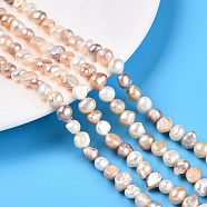 Natural Cultured Freshwater Pearl Beads Strands, Two Sides Polished, Nuggets, Seashell Color, 6~7x7~9x4~5mm, Hole: 1mm, about 44pcs/strand, 13.38~13.77 inch(34~35cm)(PEAR-T003-10)