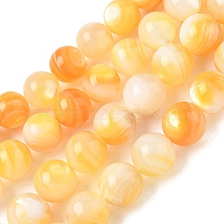 Natural Yellow Shell Beads Strands, Smooth Round, Gold, 9~10mm, Hole: 1mm, about 43pcs/strand, 15.35 inch(39cm)(SH-CBACA76-16C)