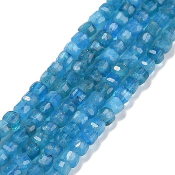 Natural Apatite Beads Strands, Faceted, Cube, 2.5x2.5x2.5mm, Hole: 0.5mm, about 186~188pcs/strand, 15.16~15.35 inch(38.5~39cm)