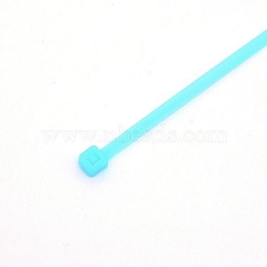 Plastic Cable Ties(KY-CJC0004-01F)-2
