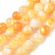 Natural Yellow Shell Beads Strands(SH-CBACA76-16C)-1