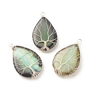 Natural Crackle Agate Pendants, Dyed, with Silver Tone Eco-Friendly Copper Wire Wrapped, Teardrop with Tree, Green, 49~52x31~32x9~11mm, Hole: 3.2~3.8mm(PALLOY-JF01526-03)