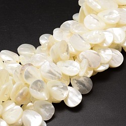 Natural Trochid Shell/Trochus Shell Beads Strands, Top Drilled Beads, Teardrop, Creamy White, 20x15x3~4mm, Hole: 1mm about 40pcs/strand, 15.75 inch(SSHEL-K009-08)