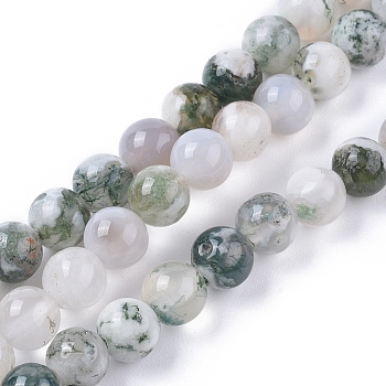 Natural Tree Agate Beads Strands, Round, 6~6.5mm, Hole: 1.2mm, about 65pcs/strand, 15.55 inch(39.5cm)