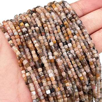 Natural Multi-Moonstone Beads Strands, Faceted, Cube, 2~2.5x2~2.5x2~2.5mm, Hole: 0.6mm, about 167pcs/strand, 15.04''(38.2cm)
