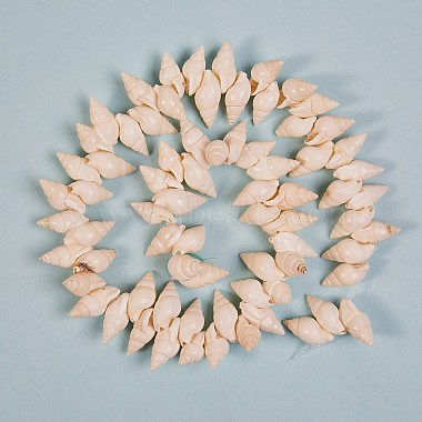 Natural Spiral Shell Beads Strands(BSHE-SZ0001-01)-4