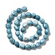 Natural Gemstone Beads Strands(G-F730-05B)-3