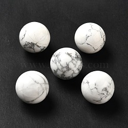 Natural Howlite Beads, No Hole/Undrilled, Round, 25~25.5mm(G-A206-02-27)