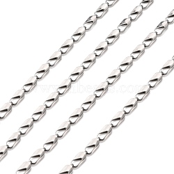 3.28 Feet 304 Stainless Steel Link Chains, Soldered, with Rectangle Connector, Stainless Steel Color, 6x2.5x2mm(X-CHS-K002-25)