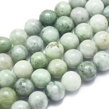 Natural Myanmar Jade/Burmese Jade Beads Strands, Round, 8mm, Hole: 1mm, about 49pcs/Strand, 15.75 inch(40cm)