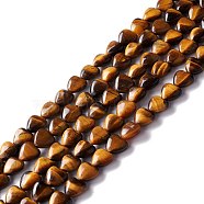 Natural Tiger Eye Beads Strands, Heart, 12.5x12.5x6mm, Hole: 1mm, about 33pcs/strand, 15.55''(39.5cm)(G-B022-05)