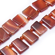 Natural Red Agate Beads Strands, Dyed & Heated, Trapezoid, Brown, 24~27x20~22x5~8mm, Hole: 1.5~2mm, Bead: 6mm, about 15~16pcs/strand, 15.3 inch~15.5 inch(39~39.5cm)(G-I245-38)