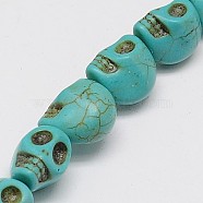Synthetic Turquoise Beads Strands, Dyed, Skull, Medium Turquoise, 18x13x17mm, Hole: 1mm, about 178pcs/1000g(TURQ-G113-13x18mm-05)