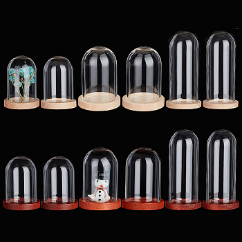 Elite 12 Sets 6 Style Glass Dome Cover, Decorative Display Case, Cloche Bell Jar Terrarium with Wood Base, Mixed Color, 25~30x33.5~41.5mm, 2 sets/style
