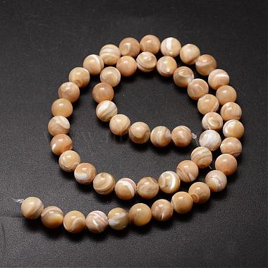 Natural Sea Shell Beads Strands(SSHEL-K013-8mm-B)-2
