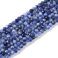 Natural Sodalite Beads Strands, Faceted, Round, 3~3.5mm, Hole: 0.7mm, about 115~140pcs/strand, 14.96~15.43''(38~39.2cm)(X-G-G139-A07-02)