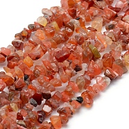 Natural Carnelian Beads Strands, Dyed & Heated, Chip, 5~8mm, Hole: 1mm, about 33 inch(84cm)(X-G-P332-04)