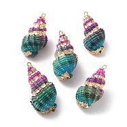 Conch Shell Pendants, with Golden Tone Brass Covered Edge, Spray Painted, Teal, 30~39x14~18x14~18mm, Hole: 1.6~1.8mm(SSHEL-B002-06B)