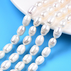 Natural Cultured Freshwater Pearl Beads Strands, Rice, Seashell Color, 9~11.5x7~8mm, Hole: 0.7mm, about 32~33pcs/strand, 13.78 inch~13.98 inch(35~35.5cm)(PEAR-N012-07F)