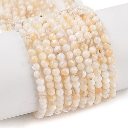 Natural Freshwater Shell Beads Strands, Round, Seashell Color, 4mm, Hole: 0.6mm, about 92pcs/strand, 14.96''(38cm)(SHEL-T011-02-4mm)