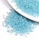 12/0 Glass Seed Beads(X1-SEED-A016-2mm-215)-1