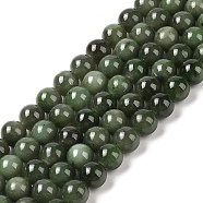 Natural Canada Jade Beads Strands, Round, 9.5mm, Hole: 1mm, about 40pcs/strand, 14.96 inch(38cm)(G-NH0001-G01-01)