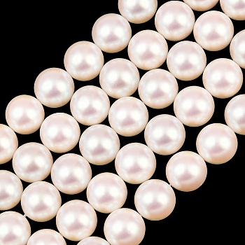 Electroplated Shell Pearl Beads Strands, Smooth Round, Misty Rose, 12mm, Hole: 1.1mm, about 33pcs/strand, 15.87 inch(40.3cm)