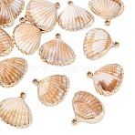 15Pcs Plating Acrylic Pendants, with Imitation Shell, Shell Shapes, Sandy Brown, 26x27x7mm, Hole: 2mm(OACR-YW0002-61)