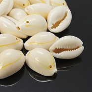 Cowrie Shell Pendants, White, 17~22x11~16x9~11mm, Hole: 1mm, about 320pcs/500g(PTS057Y)