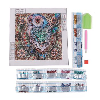 DIY 5D Owl Pattern Diamond Painting Kits, with Resin Rhinestones, Diamond Sticky Pen, Tray Plate and Glue Clay, 300x300x0.4mm
