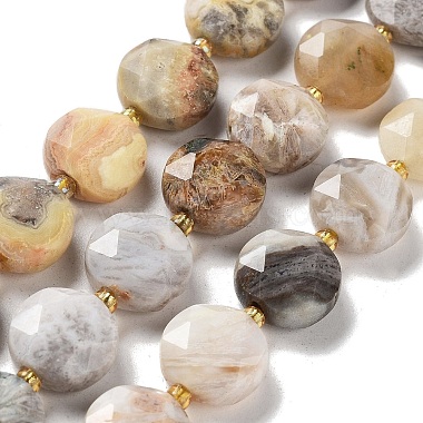 Flat Round Crazy Agate Beads